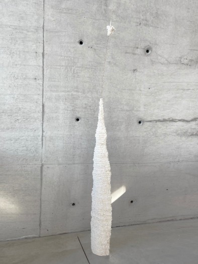 Stijn Ank, Untitled (02.2024), 2024