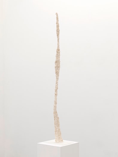 Stijn Ank, Untitled, 2024