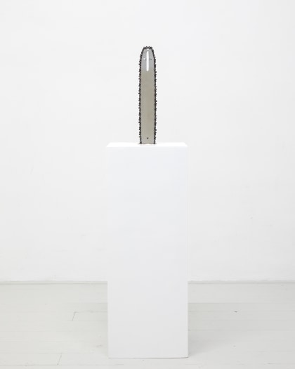 Christophe Lezaire, Oregon, 2024