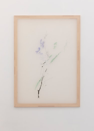 Jana Cordenier, Untitled (01.2022), 2022