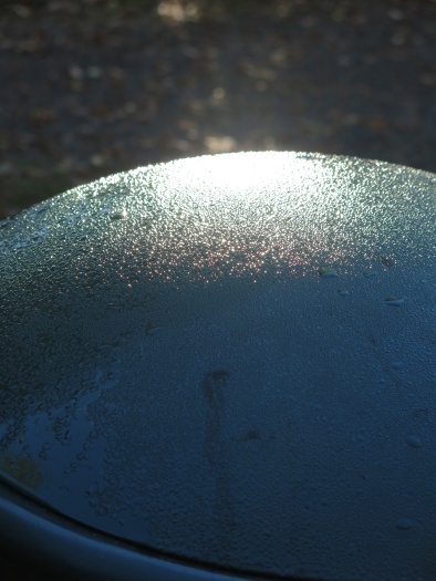 History 585 - Pi - Guller Nalaten 12, 2025