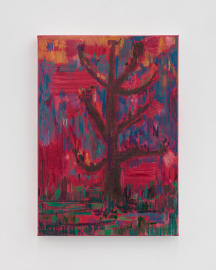Dirk Zoete, Red Forest 1, 2025