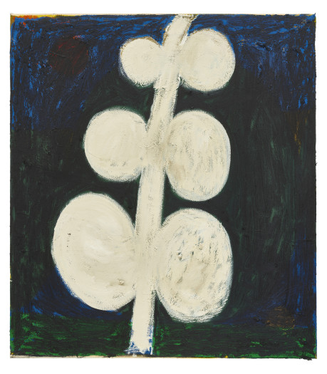 Tuukka Tammisaari, Plant Motif (Medium), 2018