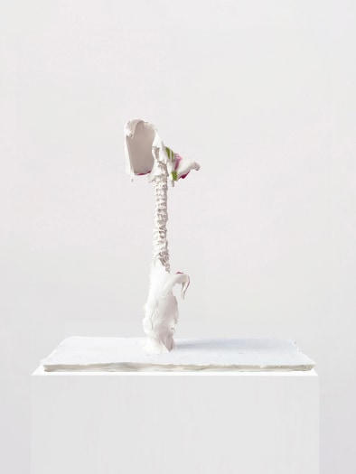 Stijn Ank, Untitled (23.2024), 2024