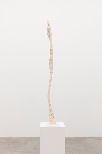 Stijn Ank, Untitled (20.2024), 2024