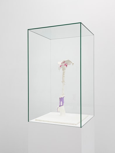 Stijn Ank, Untitled (29.2024), 2024
