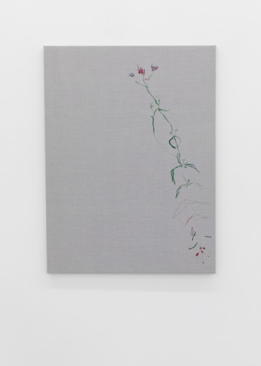 Jana Cordenier, Untitled (02.2025), 2025