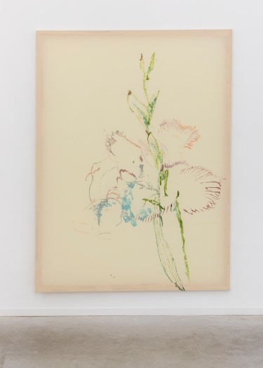 Jana Cordenier, Untitled (02.2024), 2024