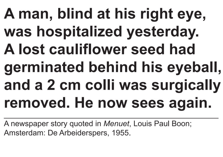 Johan Grimonprez, A lost cauliflower seed had germinated behind his eyeball