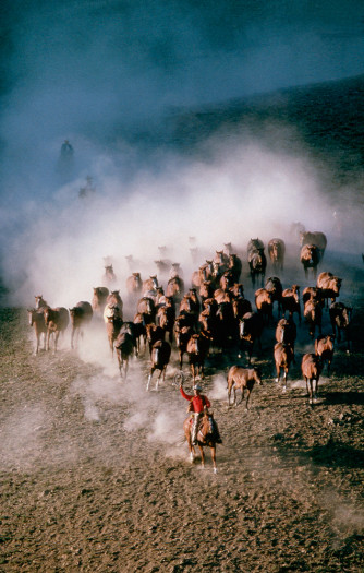 Norm Clasen, Holding the Herd, Polson, MT, 1987