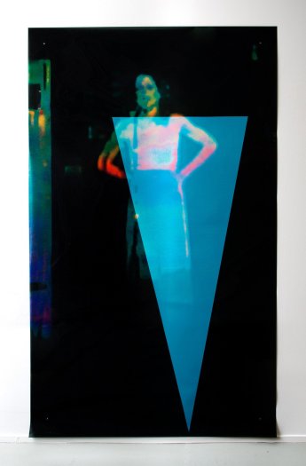 Sara Greenberger Rafferty, Fig (Body Type V), 2012