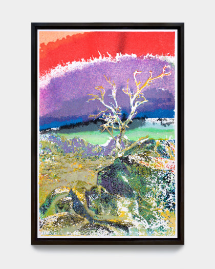 Matthew Brandt, Joshua Tree VC7A, 2023
