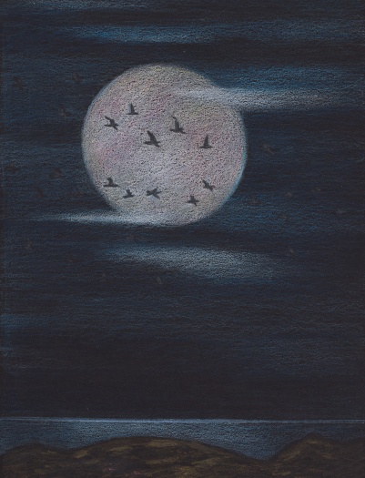 Elizabeth Shull, Moonlit Migration, 2021