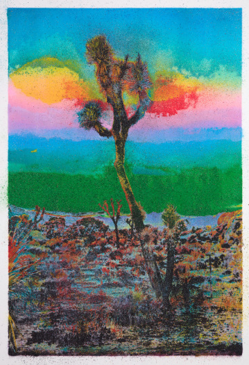 Matthew Brandt, Joshua Tree VC5A, 2023
