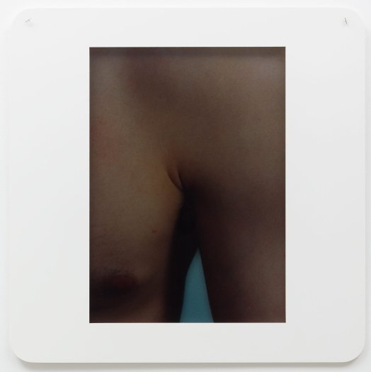 Daphne Fitzpatrick, Untitled, 2010