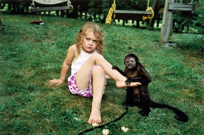 Robin Schwartz, Amelia and Amelia, 2003