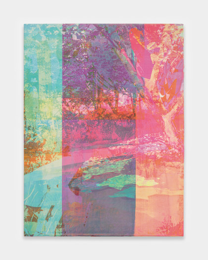 Zoe Walsh, Red meadows, 2023