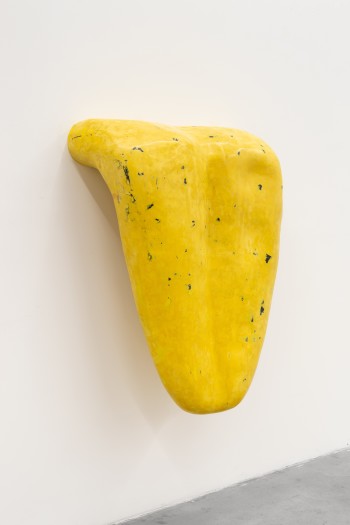 Loup Sarion, Nude (golden hour/bohemian black), 2019