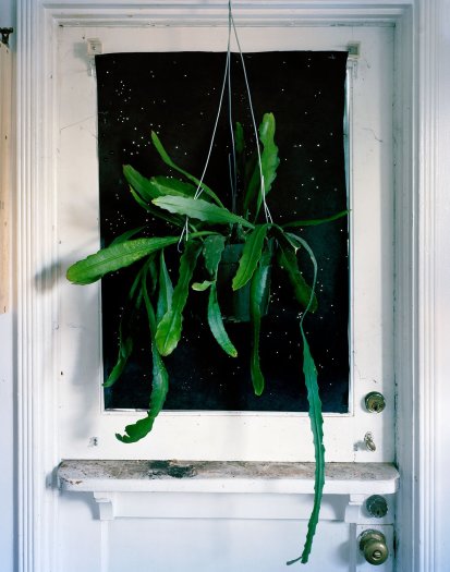 Anthony Lepore, Night Shift, 2012