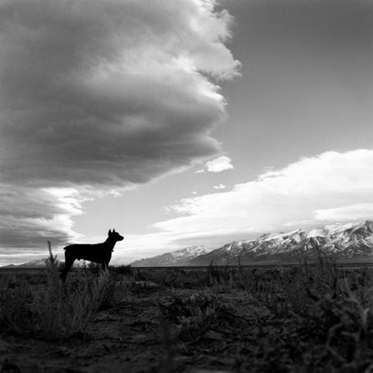 Hunter S. Thompson, Agar's Silhouette, c. 1960s