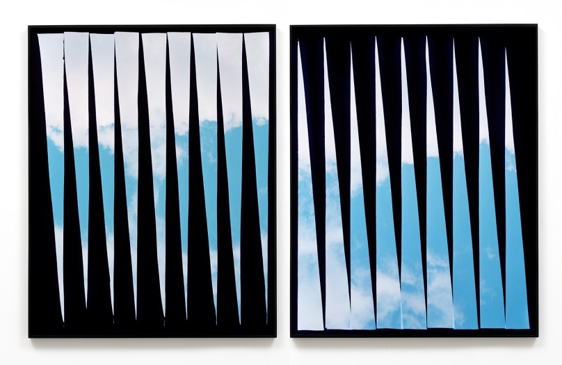 Hannah Whitaker, Difference Engine No. 1 (diptych), 2014