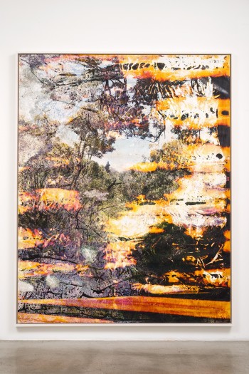 Matthew Brandt, Wai'anae 927231, 2015