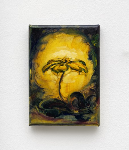 Gabe Cortese, Drip Daisy, 2022