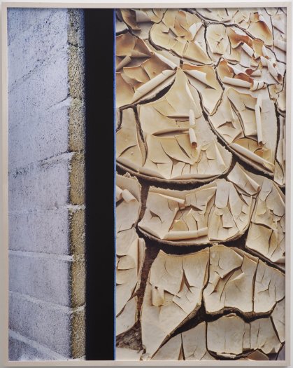 Anthony Lepore, Mud Flat, 2010