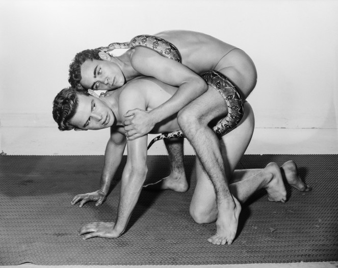 Bob Mizer, Jim Wilson and Guy Richmond (with snake), Los Angeles, 1961