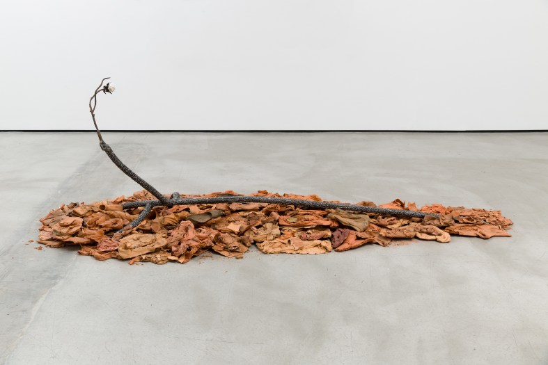 Tyler Christopher Brown, Pungent Legacy of a Cherry Tree, 2023