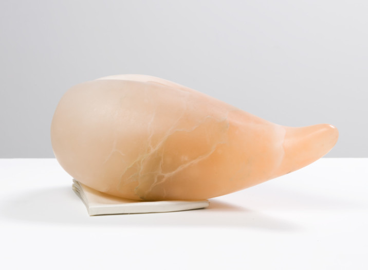 Nevine Mahmoud, Fig/vagina, 2015