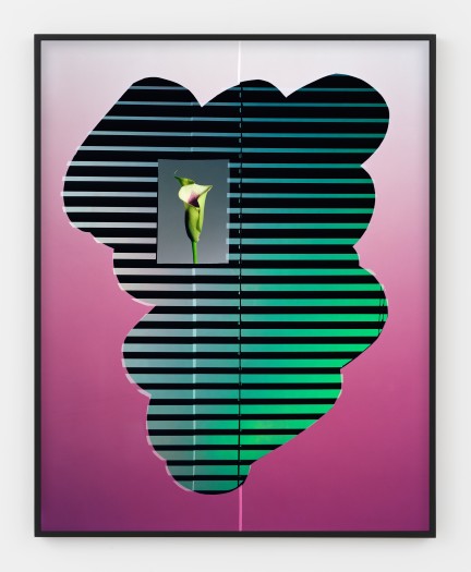Hannah Whitaker, The Flower, 2019