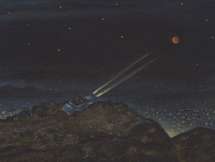 Elizabeth Shull, I Just Want to See Mars, 2021