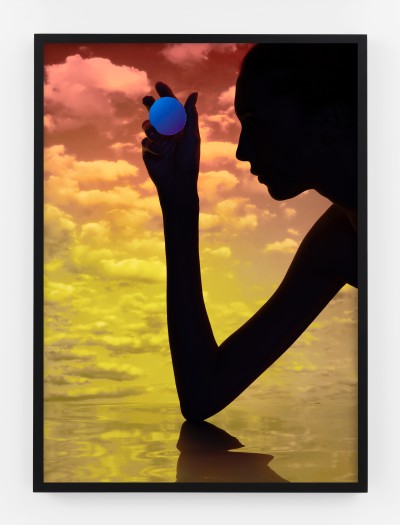 Hannah Whitaker, Focus, 2019