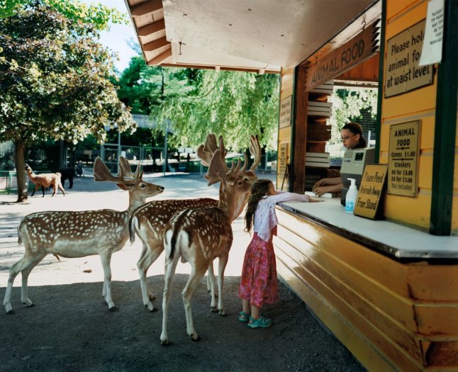 Robin Schwartz, Deer Line, 2005