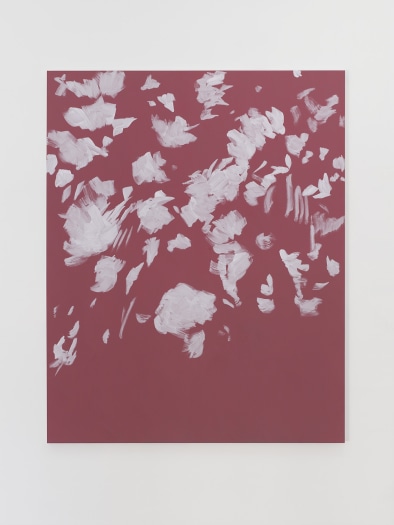 Evi Vingerling
