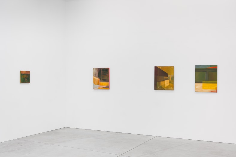 Agnes Maes | Weelderig Licht / Luscious Light