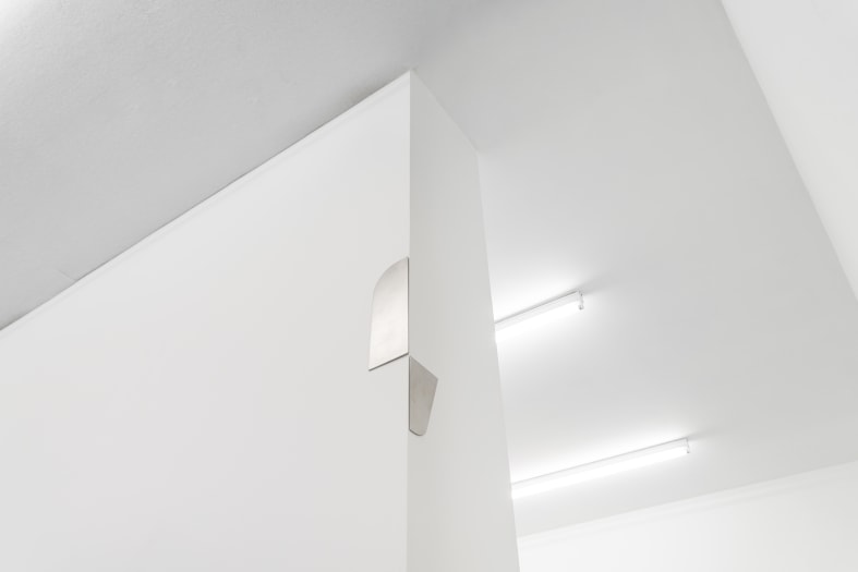 Katrin Bremermann | La fleur de barbe