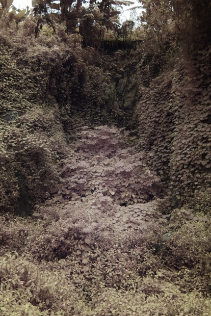 Léonard Pongo, Untitled (Primordial Earth series), 2020
