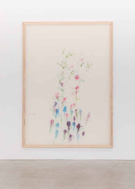 Jana Cordenier, Untitled (10.2025), 2025