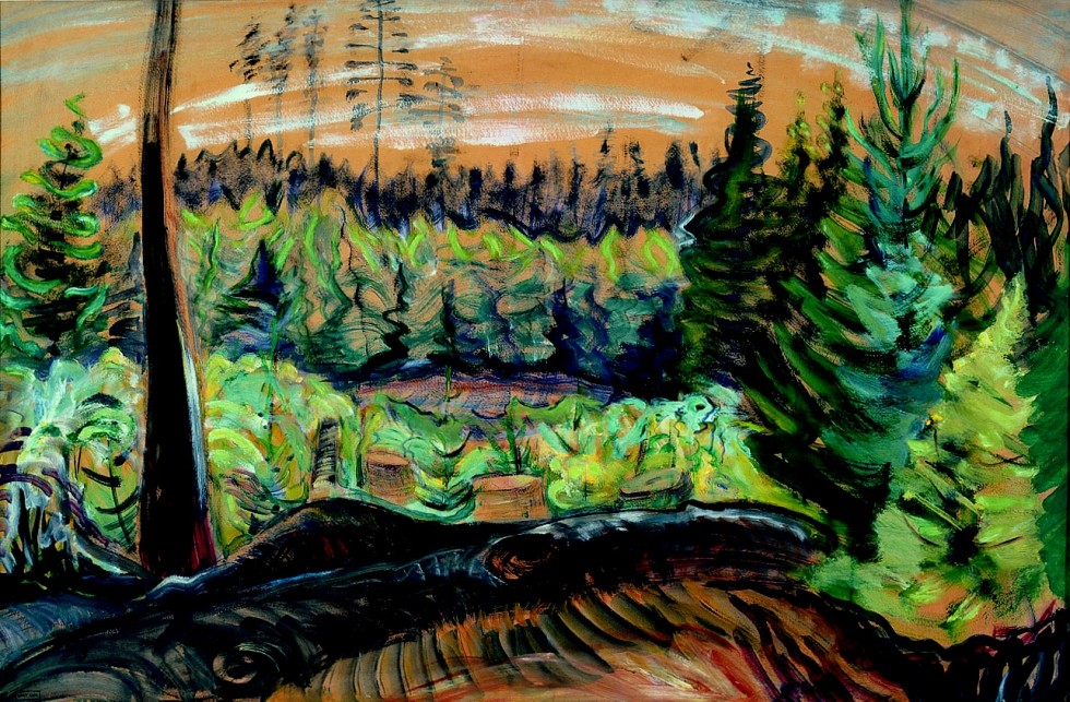 Forest British Columbia Ca 1935